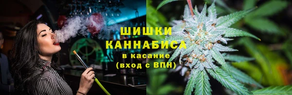 индика Корсаков