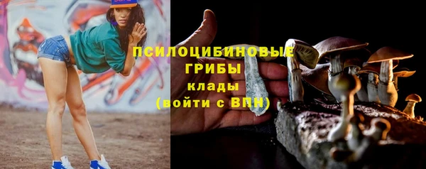дживик Костерёво