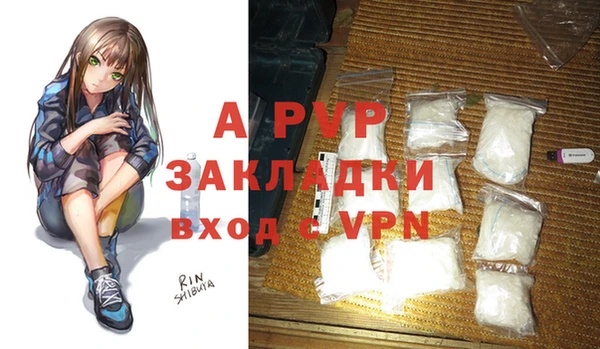 индика Корсаков
