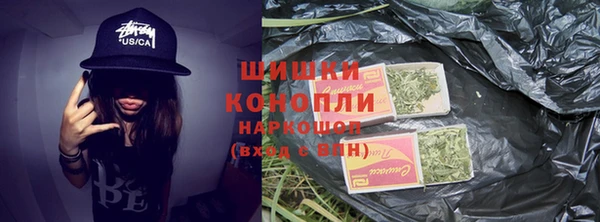 индика Корсаков