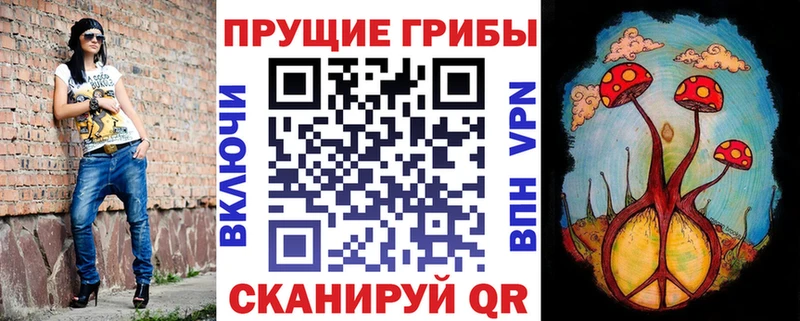 где купить   даркнет телеграм  Галлюциногенные грибы Psilocybine cubensis  Куровское 